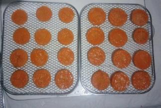 放在果干机网架上