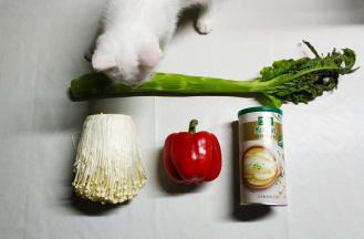 准备好材料