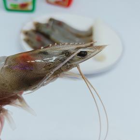 用剪刀剪去虾枪、虾须、去除虾线。