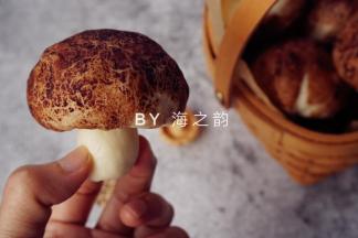 把“蘑菇柄”塞进去即成一朵逼真的蘑菇