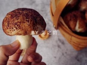 把“蘑菇柄”塞进去即成一朵逼真的蘑菇