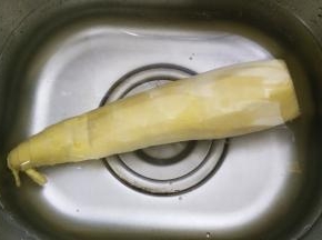 笋去皮洗干净
