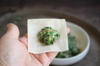 取一张云吞皮，放上适量的鸡肉荠菜馅儿。