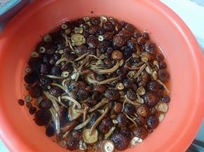 茶树菇提前1小时浸泡