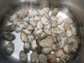 花蛤加盐在水里浸泡半小时，让其吐出沙来