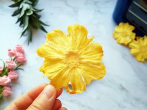 从此一家人都爱上了菠萝干。