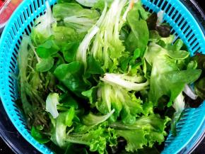 蔬菜洗净沥干水分