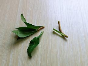 马兰头去根，冷水洗干净。