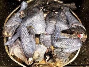 乌鸡洗净切块。