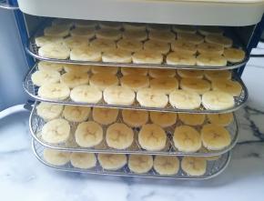 将摆好香蕉片的烤网放入干果机里。