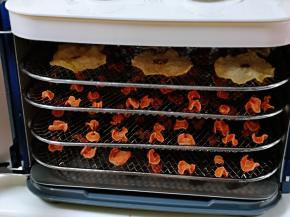 5小时后果干好啦，我还烘了一个雪梨干。