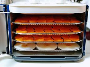 再将烤网放入果干机中。