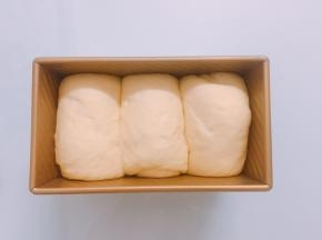 发酵至吐司盒8-9分满