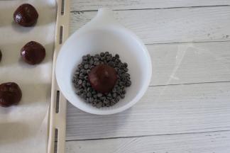 在巧克力豆上沾一下（只用沾一面）