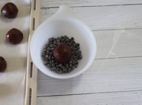 在巧克力豆上沾一下（只用沾一面）