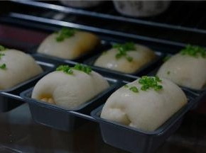 接着就要面包机发酵至面团二倍大，然后在表面刷上一层薄油，再用少入场的荞头绿部分点缀一下。提香的关键哦。