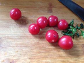 小番茄选大小一致的去掉蒂