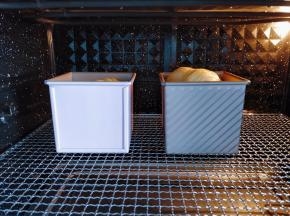 放入预热至170度的烤箱中下层，烤25分钟左右。具体时间和温度要根据不同烤箱的实际炉温酌情调整，如果顶部膨胀后太接近上管，可适当加盖锡纸。