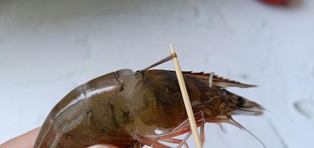 剪掉虾枪，虾头中间位置挑出虾肠。