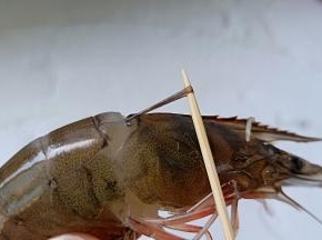 剪掉虾枪，虾头中间位置挑出虾肠。