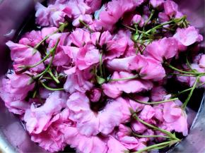 再用清水稍微泡一下，去除没有清洗干净的尘土