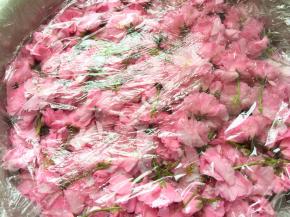 一层层都摆放好后用保鲜膜封好，压上重物，避光处盐渍两天