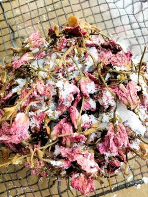 让每一个花朵都裹满盐