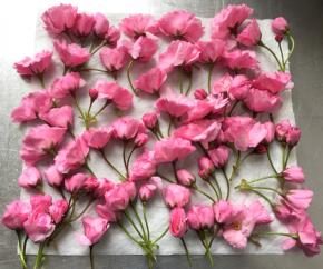 控干水分后用厨房纸干水分