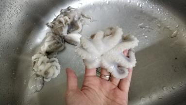 八爪章鱼清洗干净
