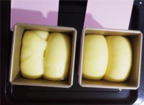 吐司盒放入烤箱启动发酵模式，上下管35-38度，发酵1小时，面团发至九分满即可。