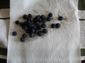 蓝莓清洗干净，用厨房纸巾擦干备用。