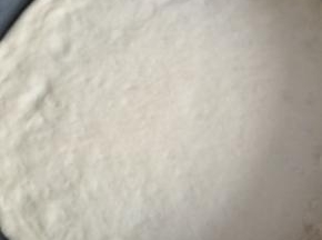 整形成饼状，放入8寸披萨盘!