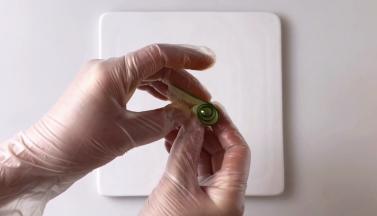 黄瓜片从一端卷起，先卷个花心