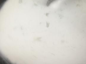 开中大火，不停搅拌!
