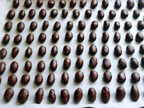 依次搓完，放入不粘烤盘中。