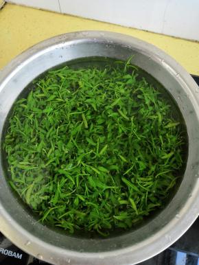 树上摘的柳芽拣去杂物，清洗干净