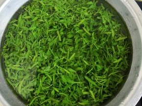 捞出来放凉水里泡一天，中间要换一两次水