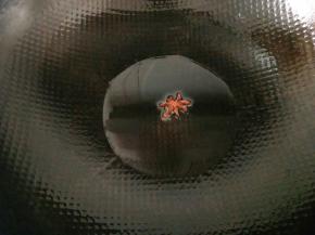 热锅凉油下一颗八角炸制