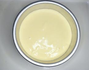 倒入6英寸圆形模具中