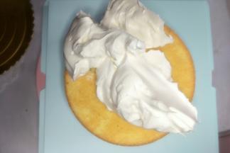 在蛋糕胚上放适量奶油