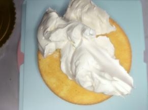 在蛋糕胚上放适量奶油