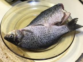 将鲫鱼去除内脏鱼鳞清洗干净擦干表面水分备用。