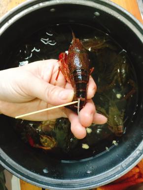 小龙虾尾部第三节，用牙签挑出虾肠