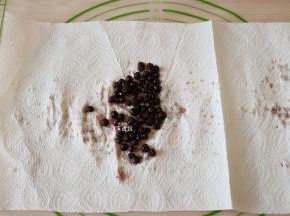 面团发酵的时候把蓝莓干放在冷开水里浸泡透，然后用厨房纸吸干表面水分；