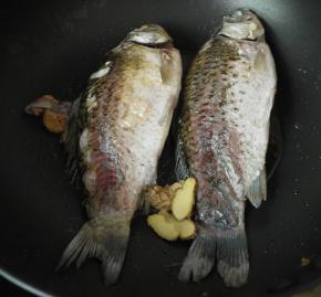 把鲫鱼煎至两面金黄，放入姜片。