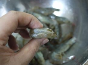 处理干净的海虾。