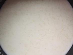 首先制作中种面团，牛奶和干酵母先混合，使酵母充分融化。