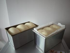 面团在室温28度下发酵至9分满。