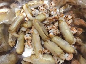 蛏子花螺刷洗干净