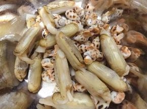 蛏子花螺刷洗干净